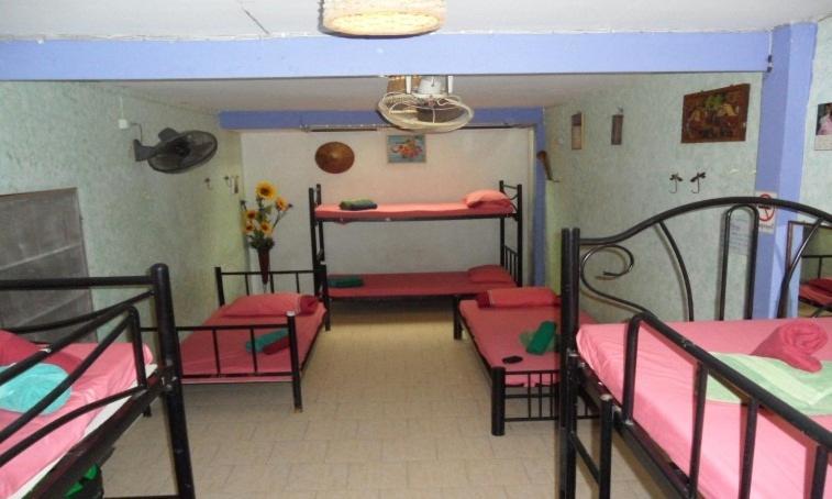 Cama num Dormitório Misto com 8 Camas